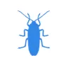 Уничтожение тараканов в Серпухове
